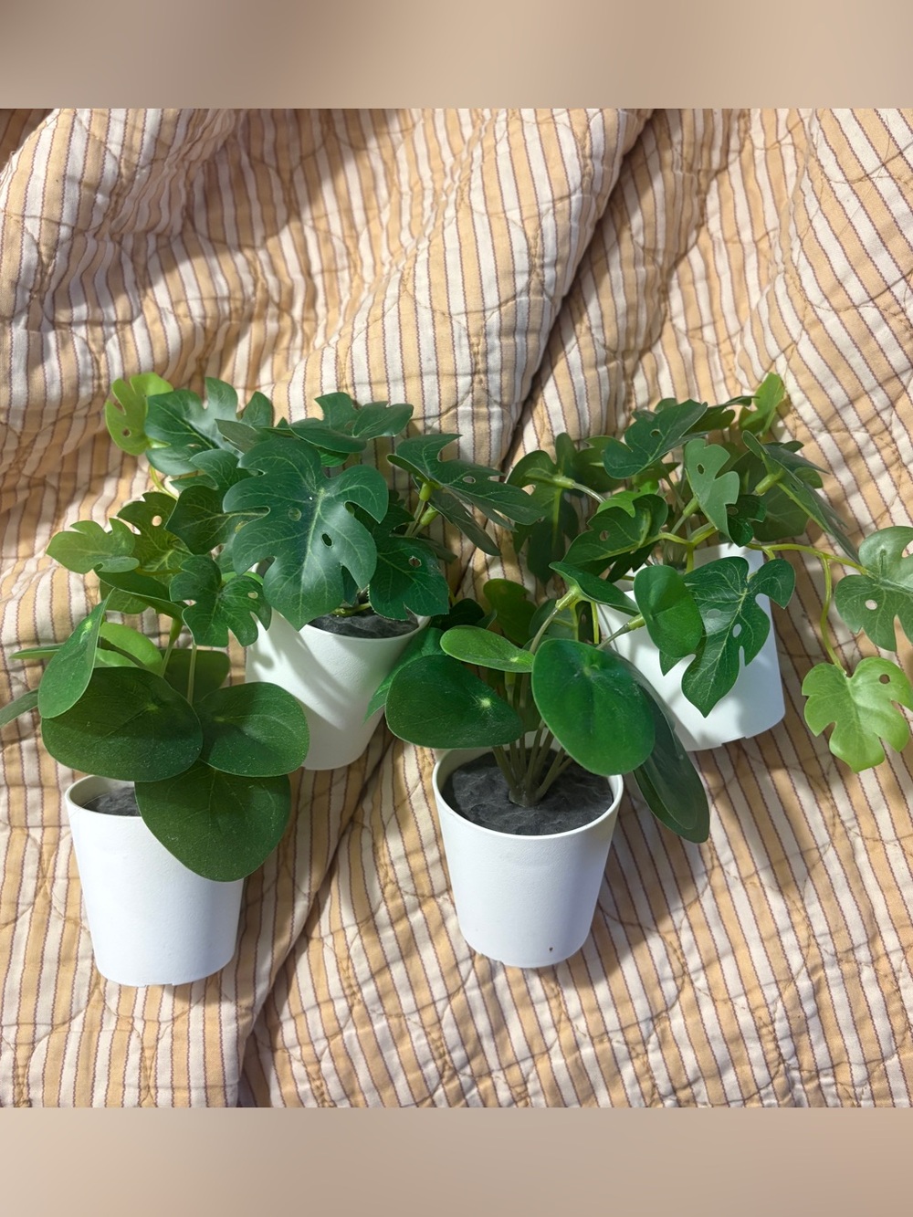 Set of Four Small Green Faux Potted Plants in White Planters